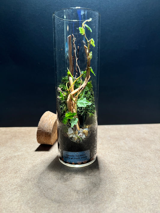 Terrarium 404