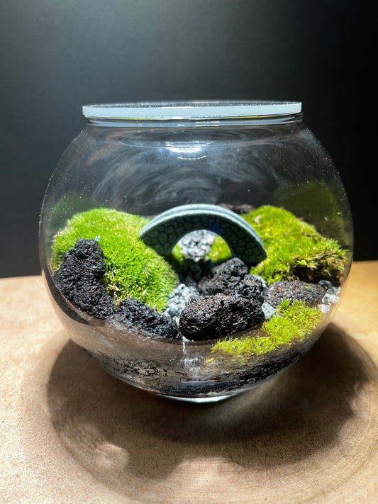 Terrarium 406