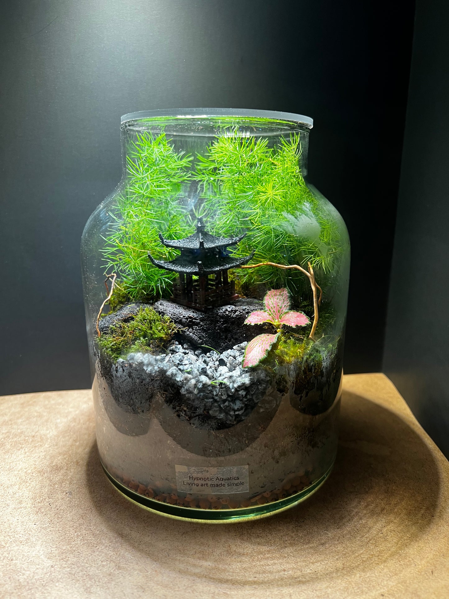 Terrarium 407