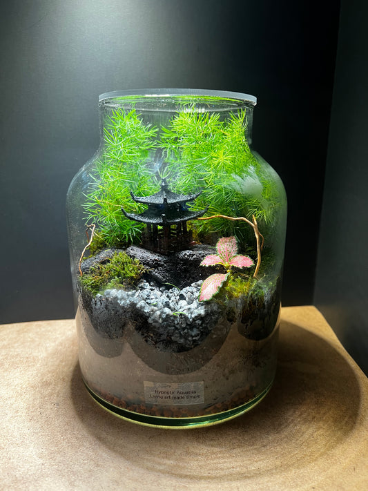 Terrarium 407