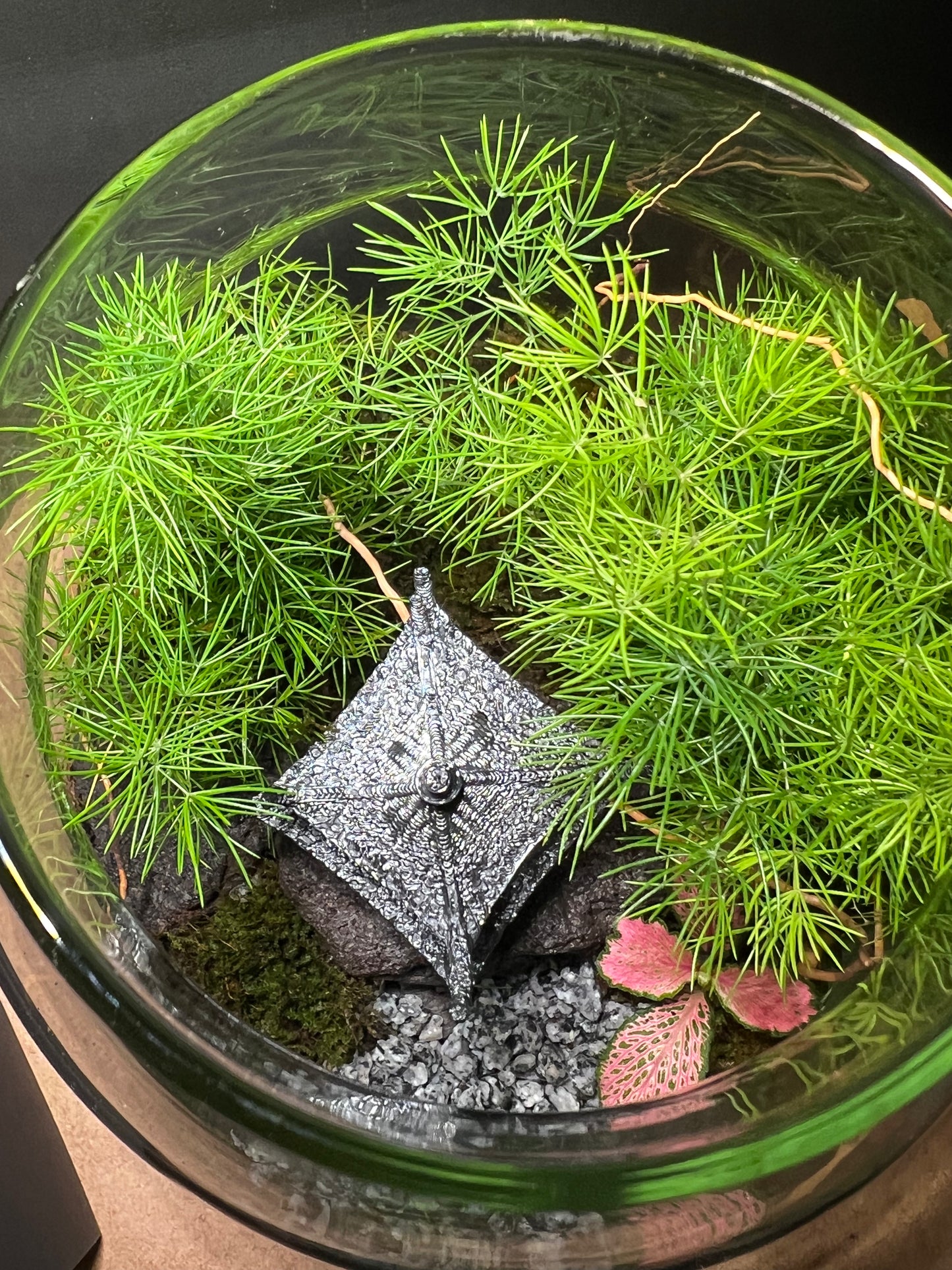 Terrarium 407