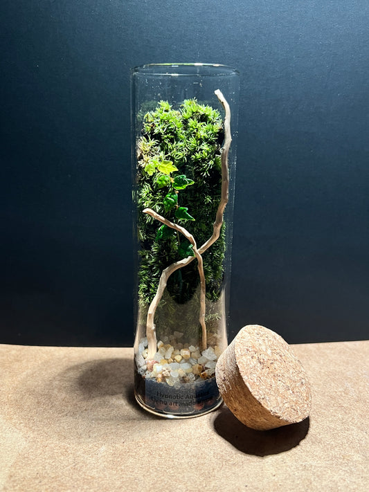 Terrarium 420
