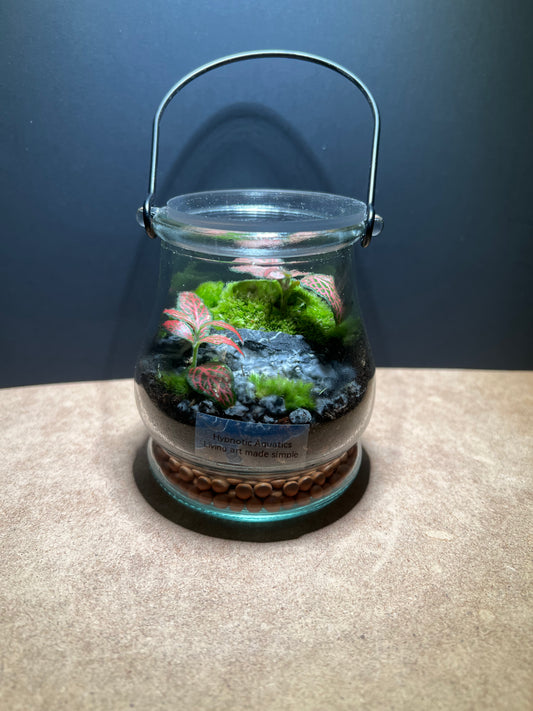 Terrarium 424