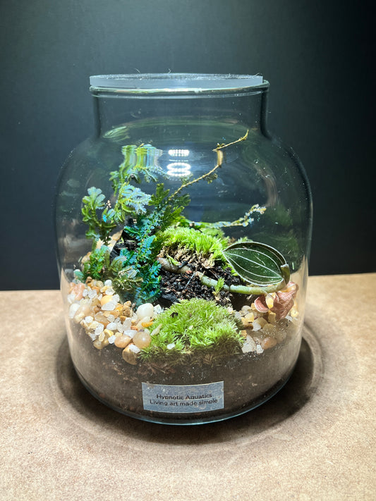 Terrarium 433