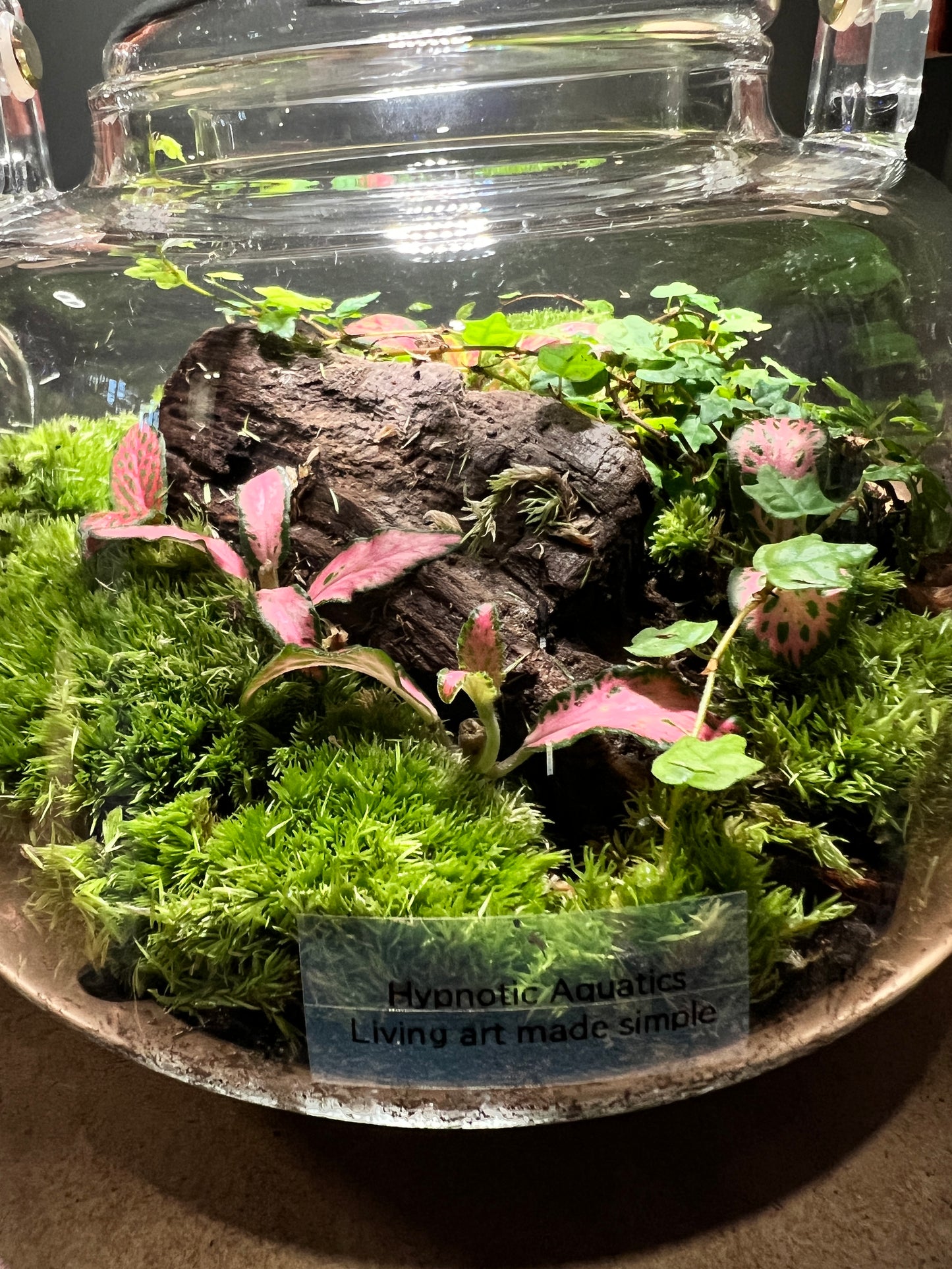 Terrarium 440