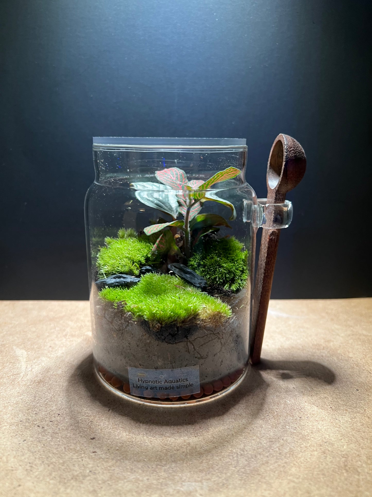 Terrarium 449