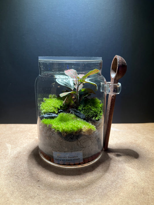 Terrarium 449