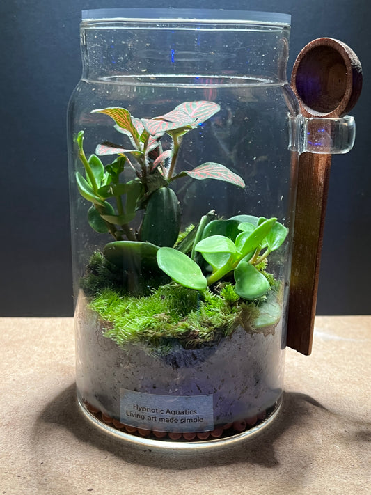 Terrarium 450