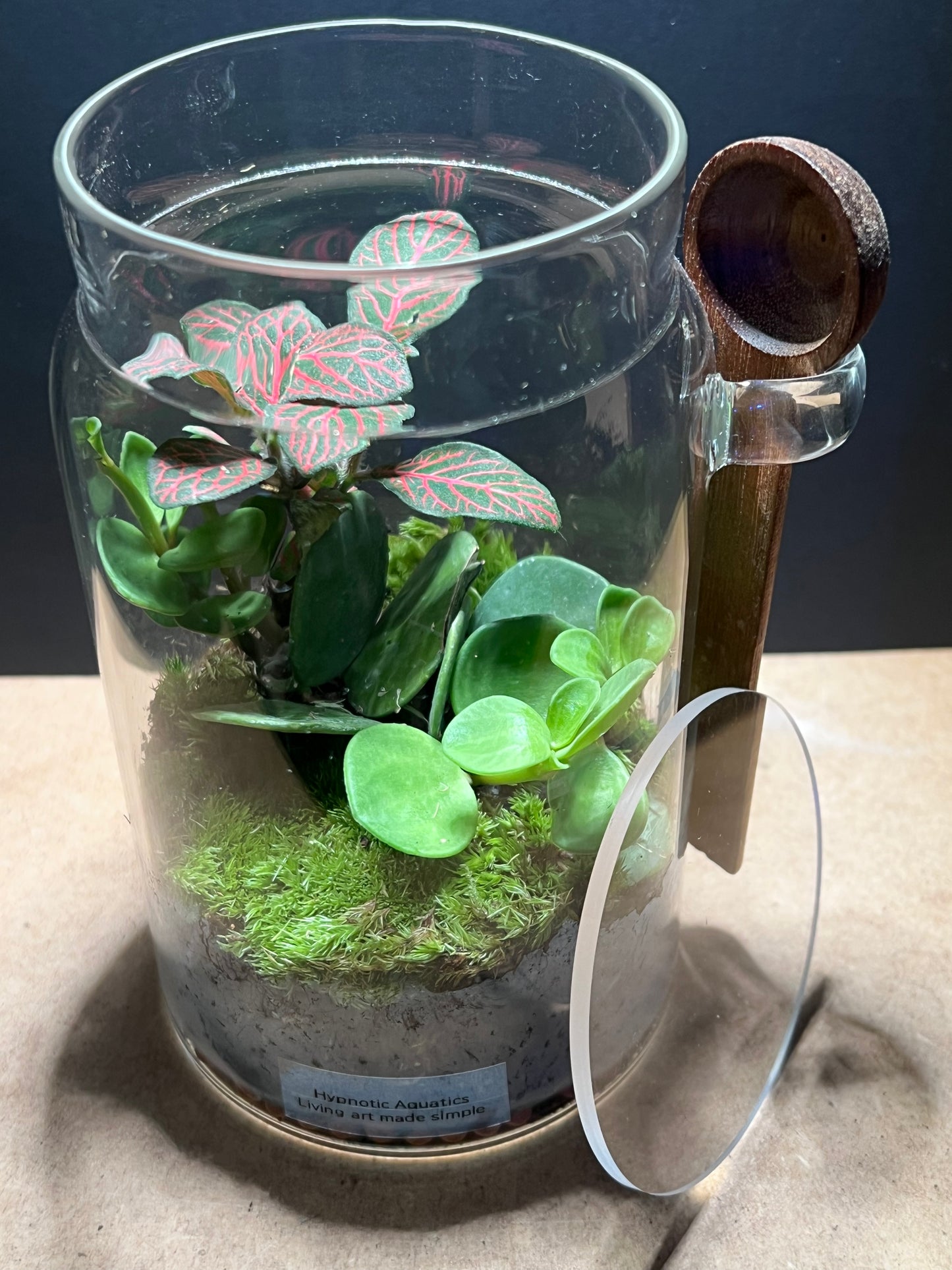 Terrarium 450