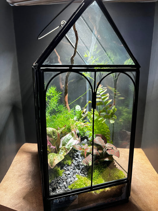 Terrarium 452