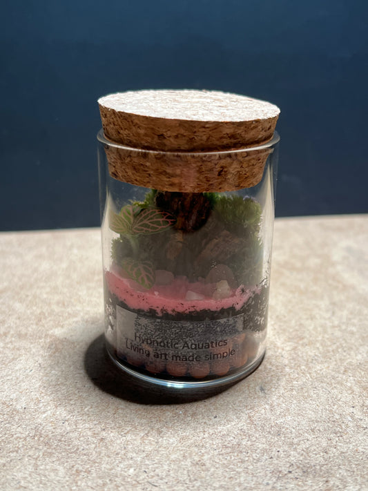 Terrarium 454