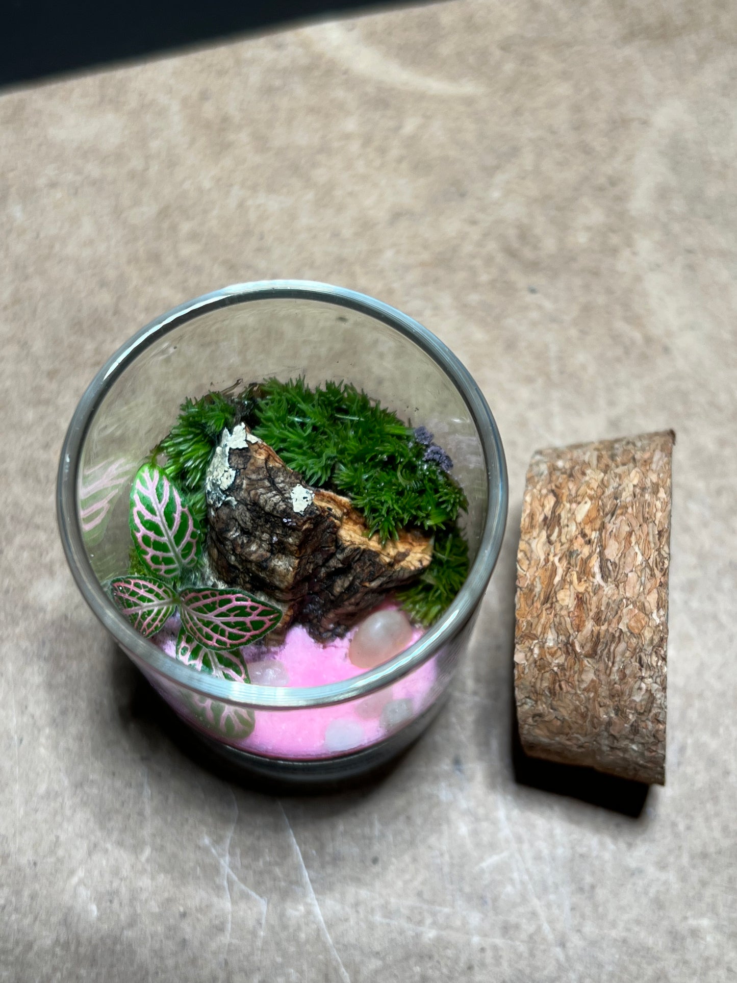 Terrarium 454