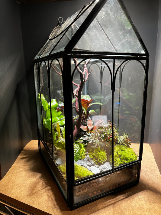 Terrarium 464