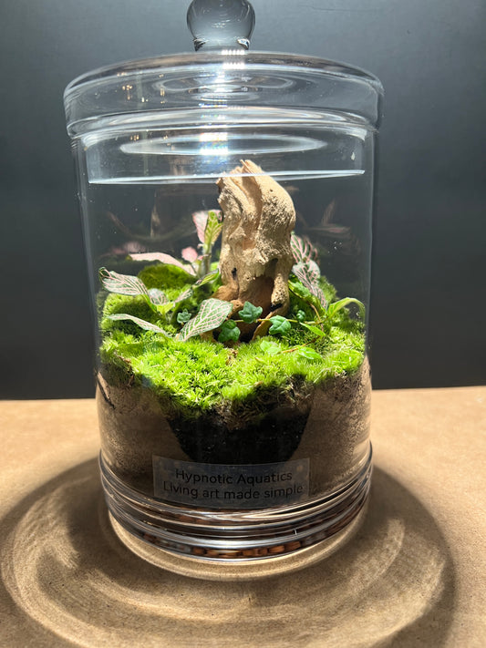 Terrarium 238