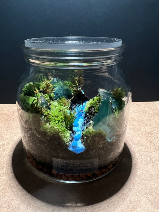 Terrarium 488
