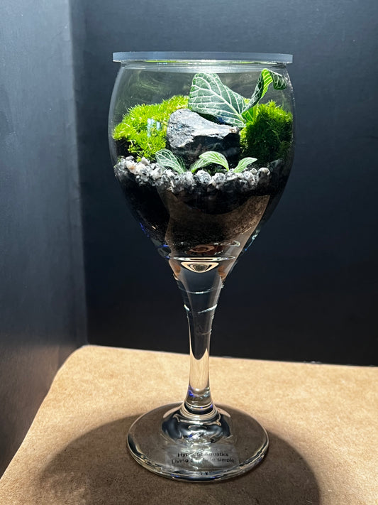 Terrarium 544