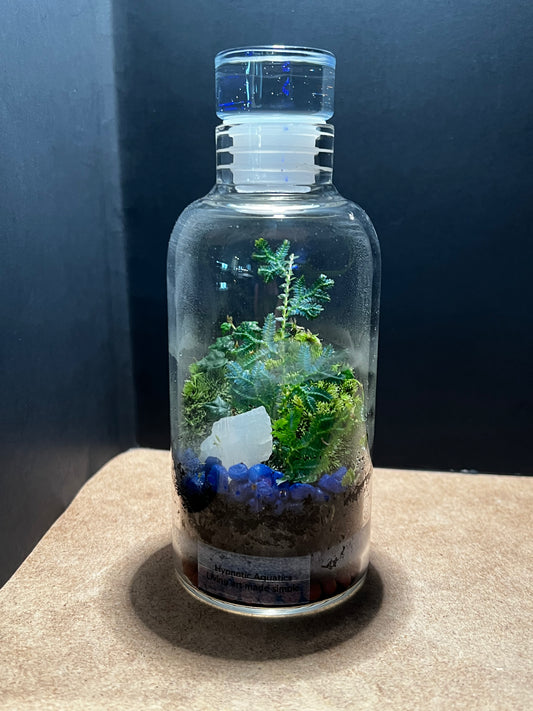 Terrarium 549
