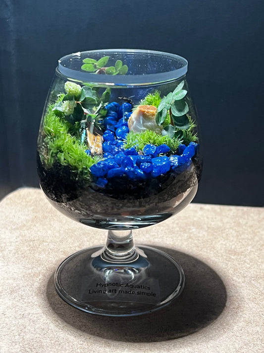 Terrarium 552