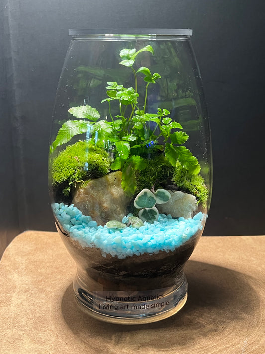 Terrarium 553