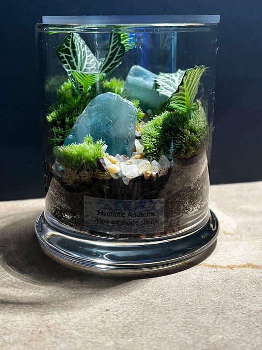 Terrarium 560