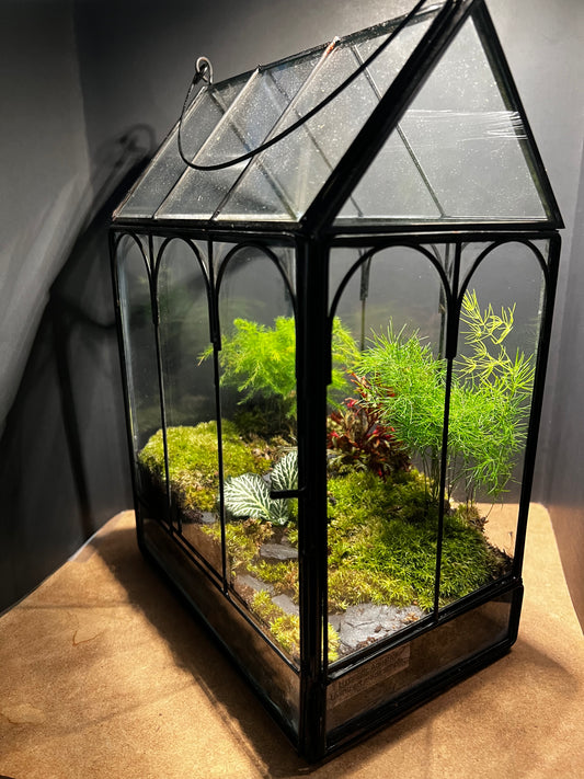 Terrarium 573