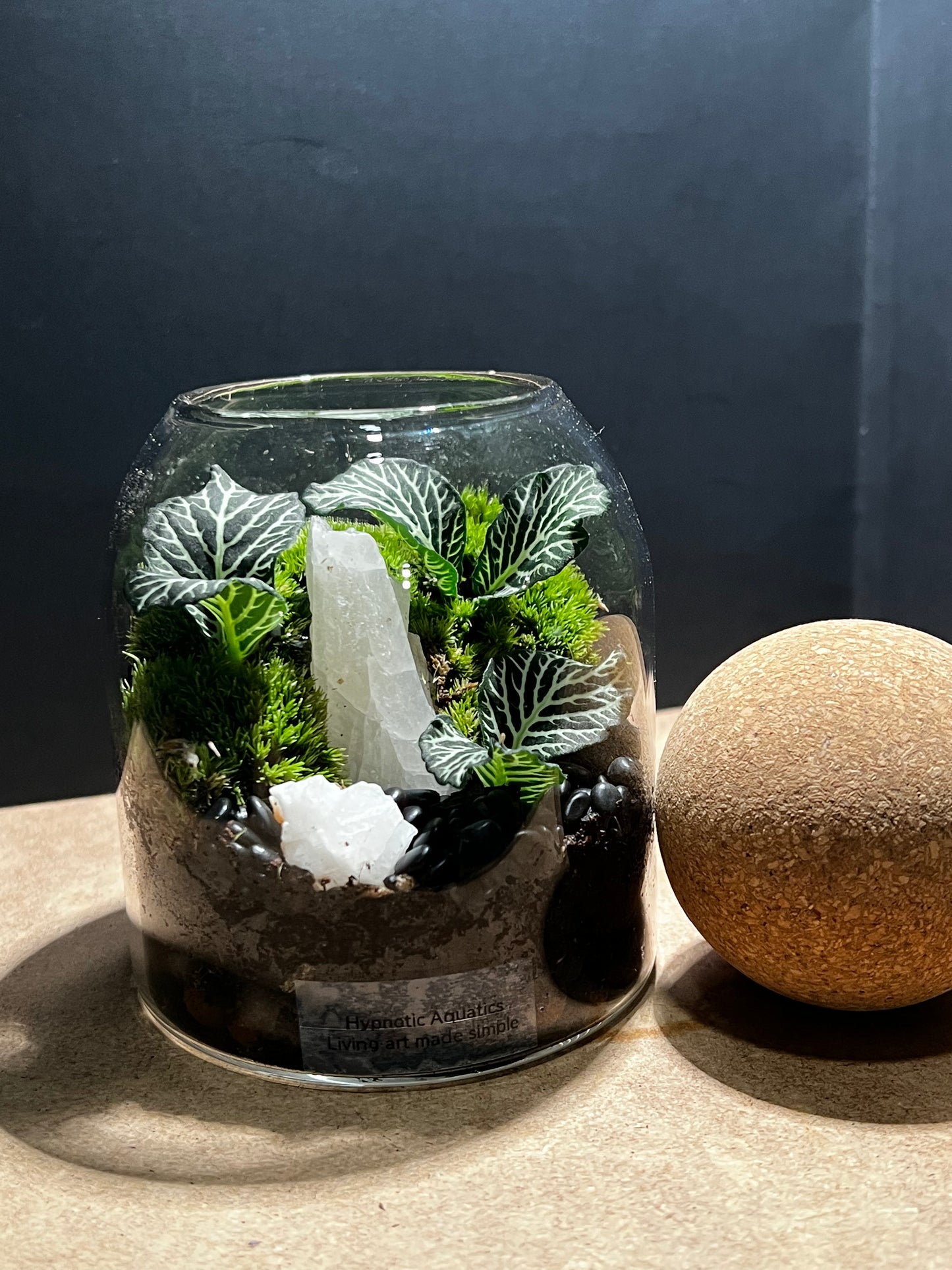 Terrarium 576