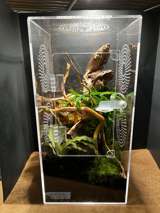 Terrarium 579 Habitat