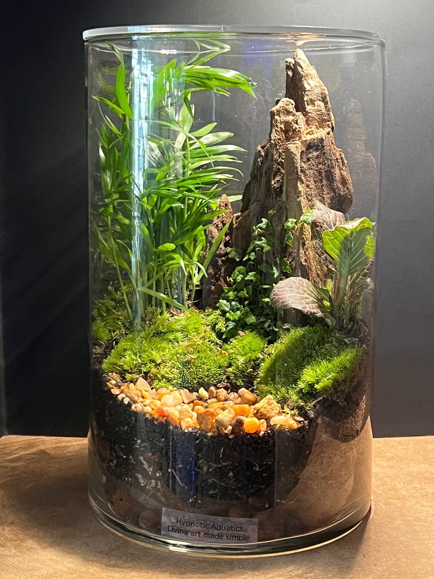 Terrarium 597