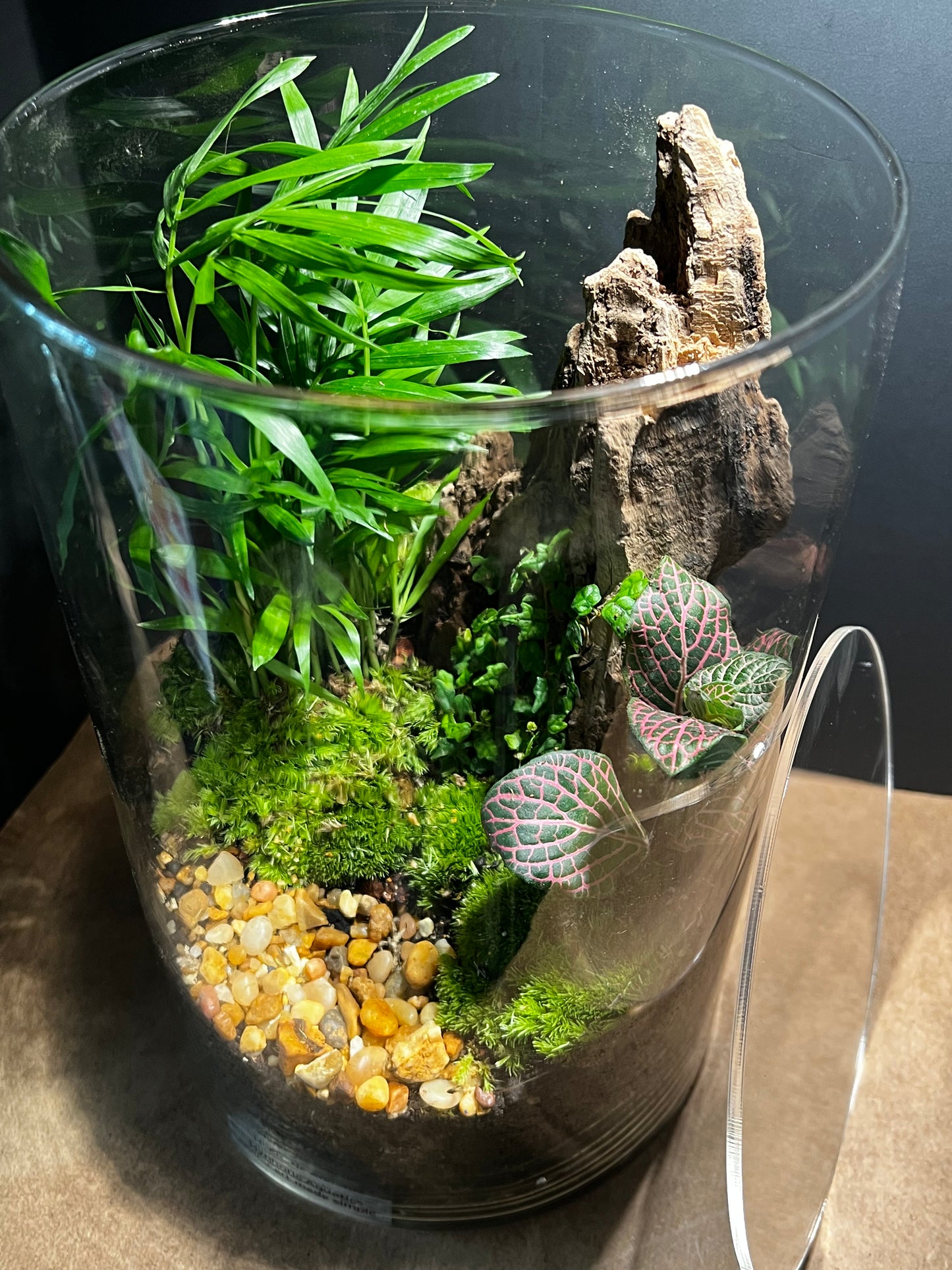 Terrarium 597