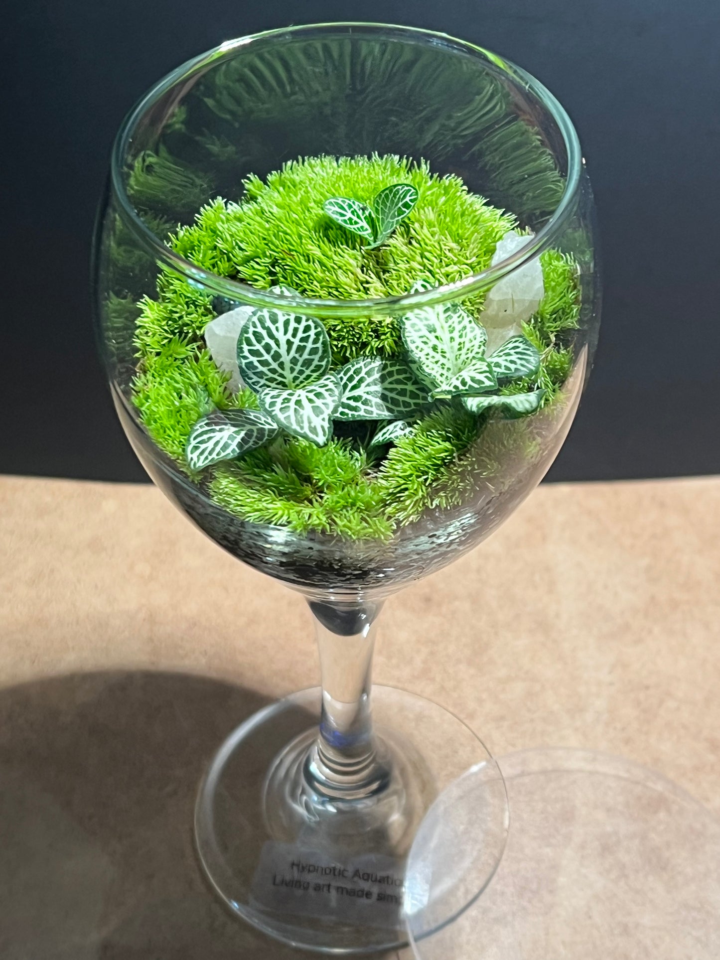 Terrarium 598