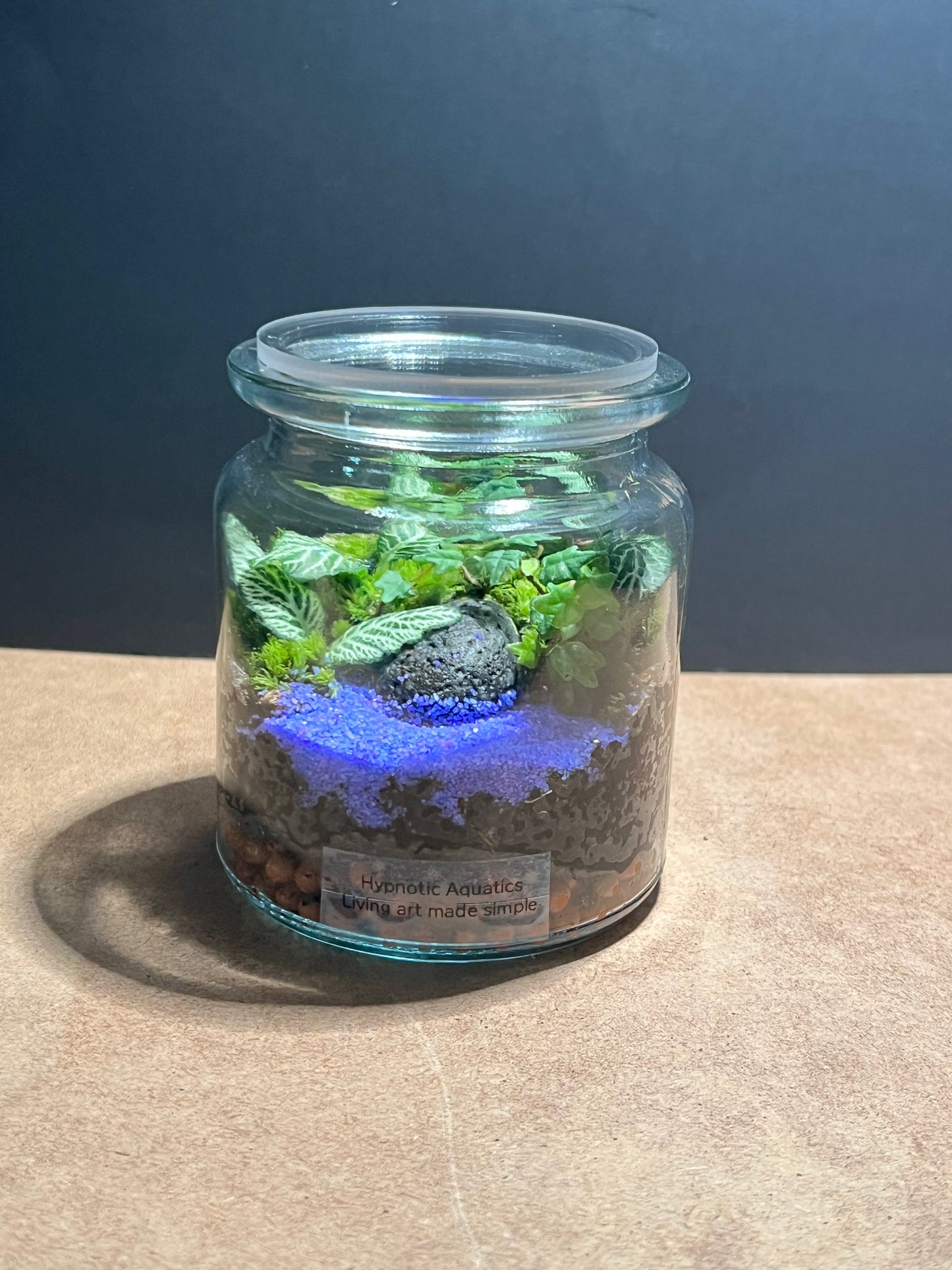 Terrarium 606