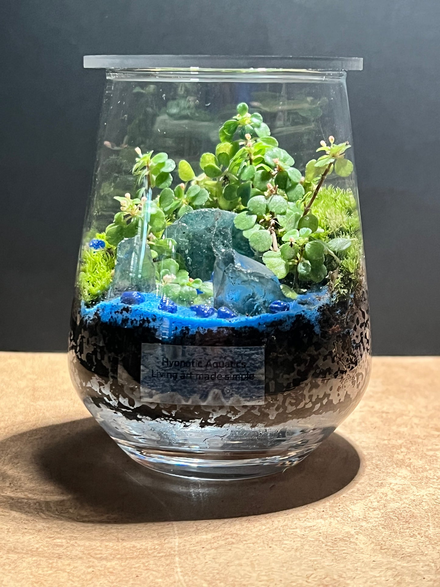 Terrarium 612