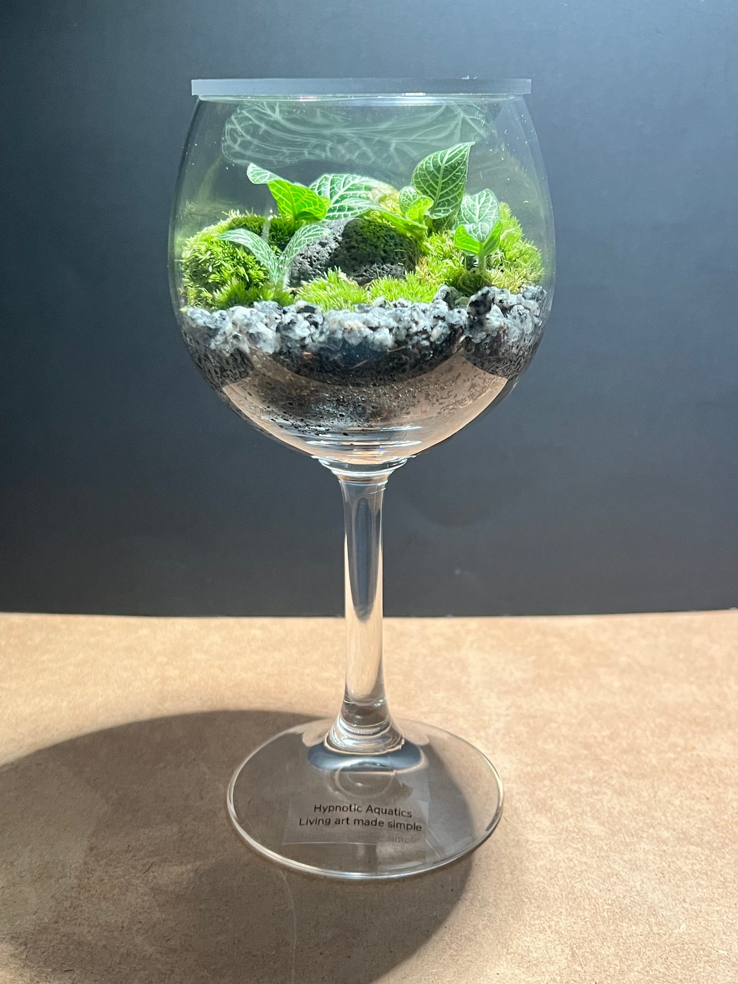 Terrarium 616