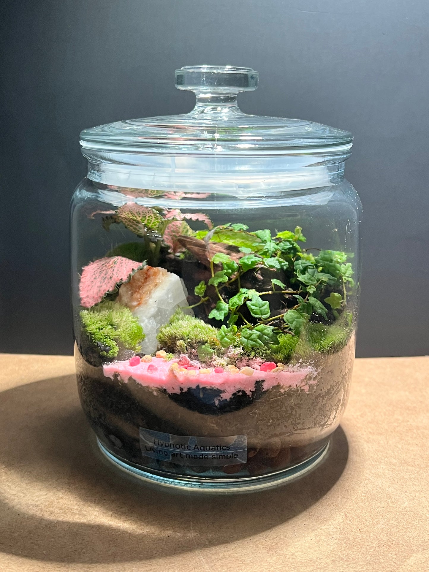 Terrarium 621