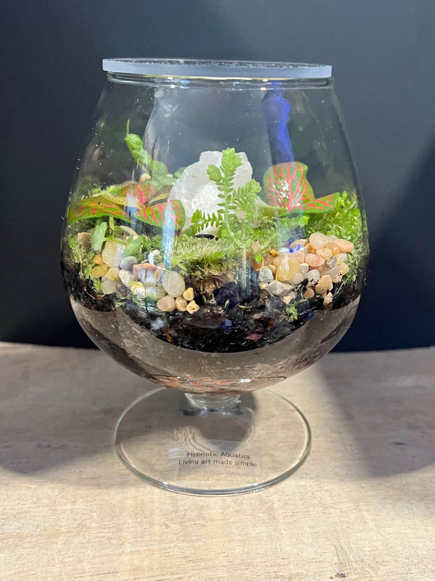 Terrarium 630