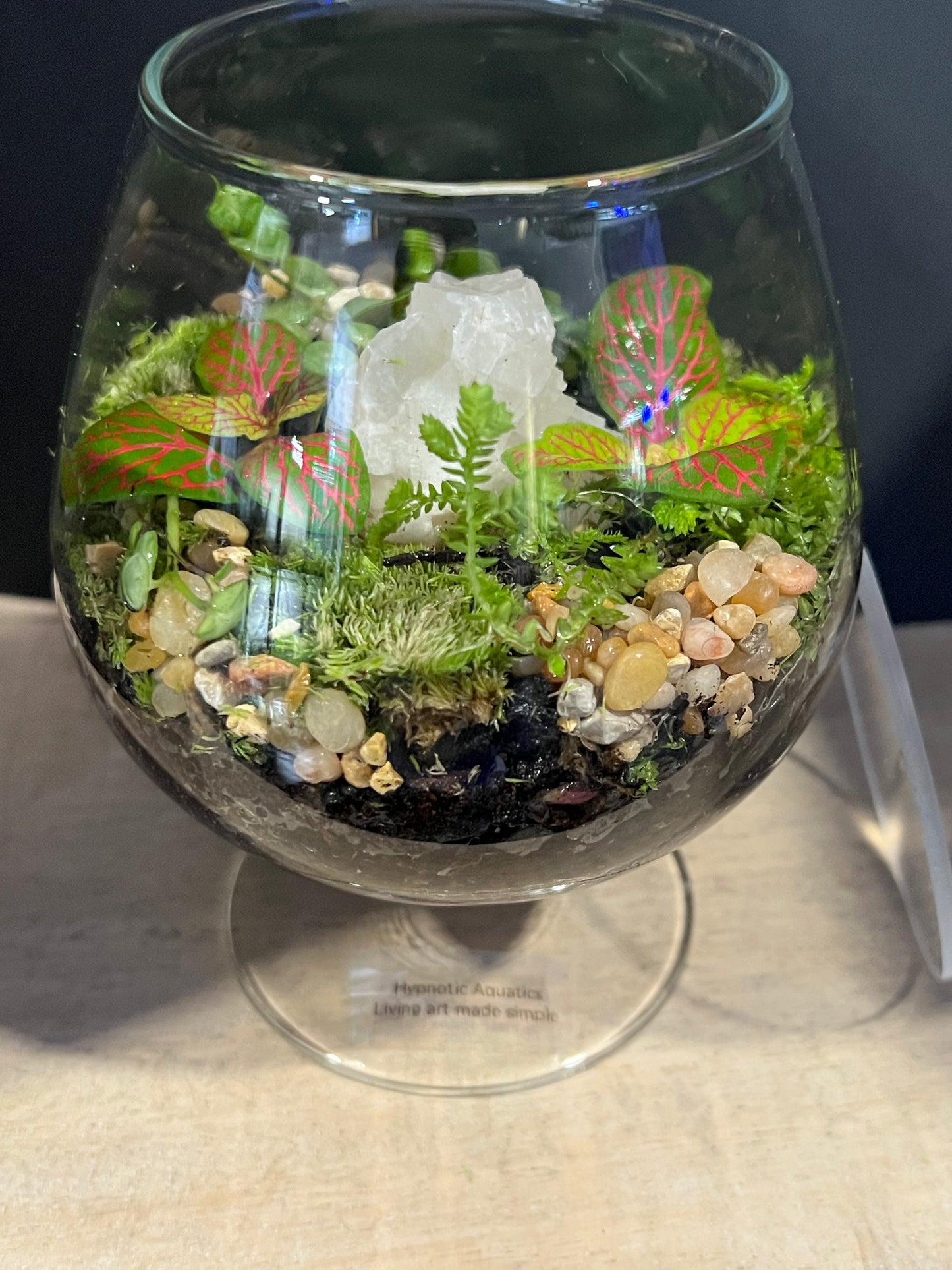 Terrarium 630