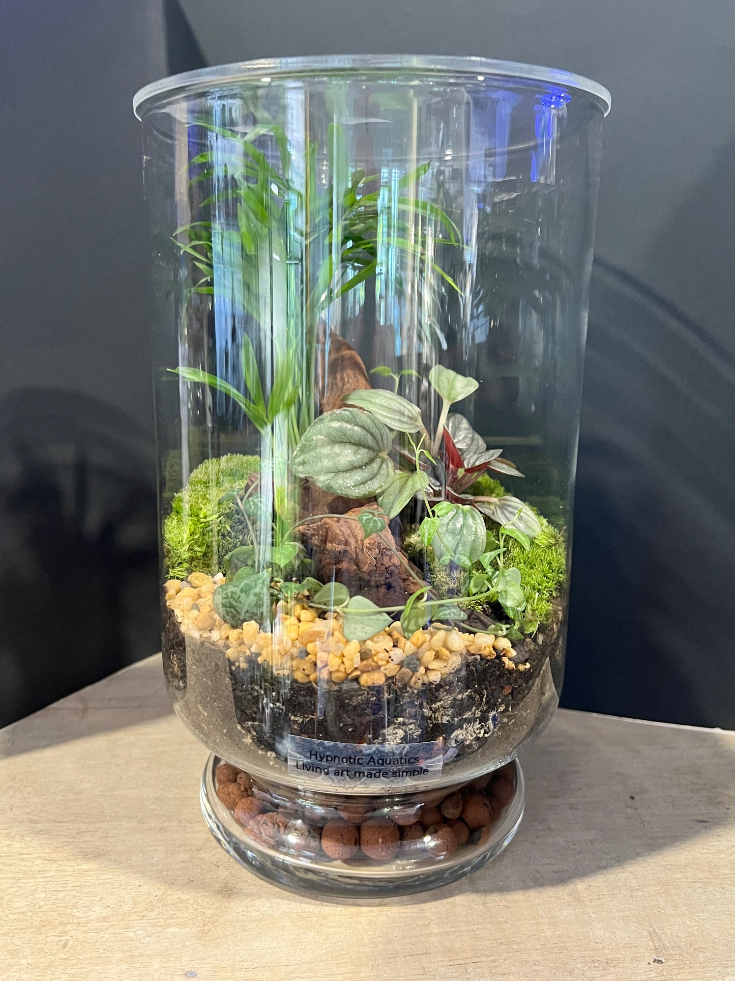 Terrarium 636