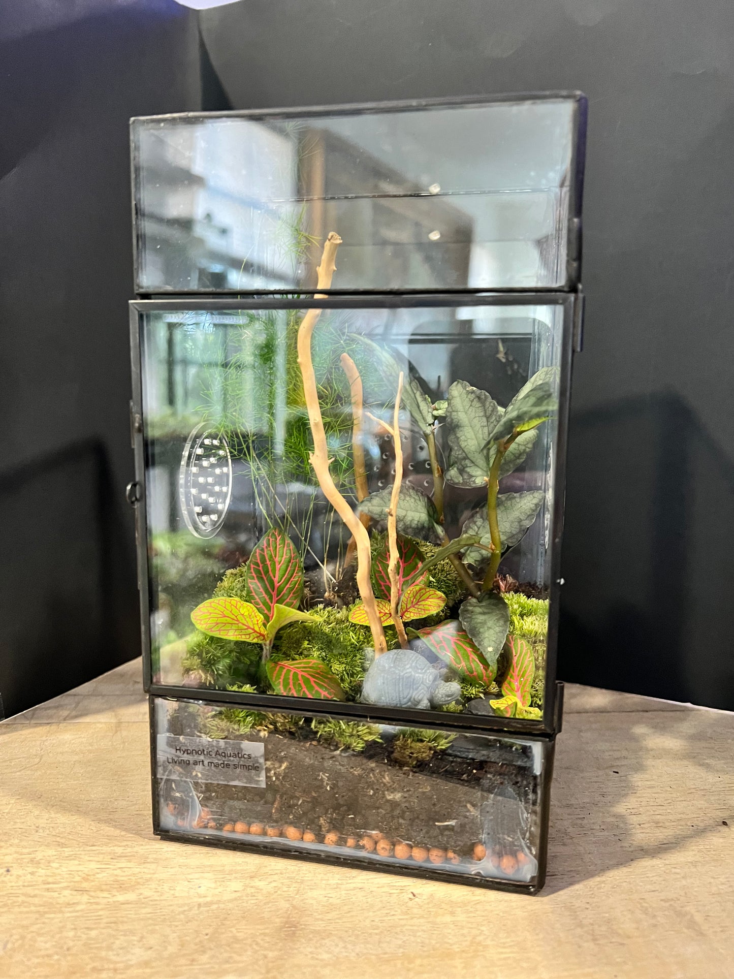 Terrarium 639