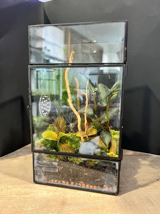 Terrarium 639