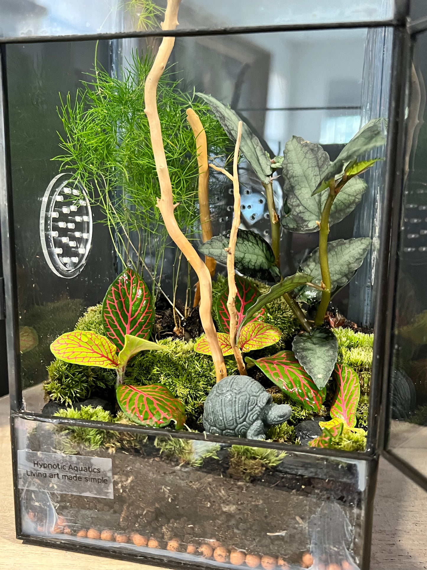 Terrarium 639