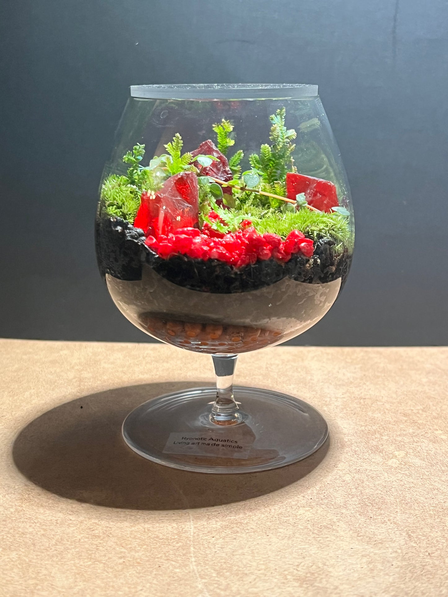 Terrarium 641
