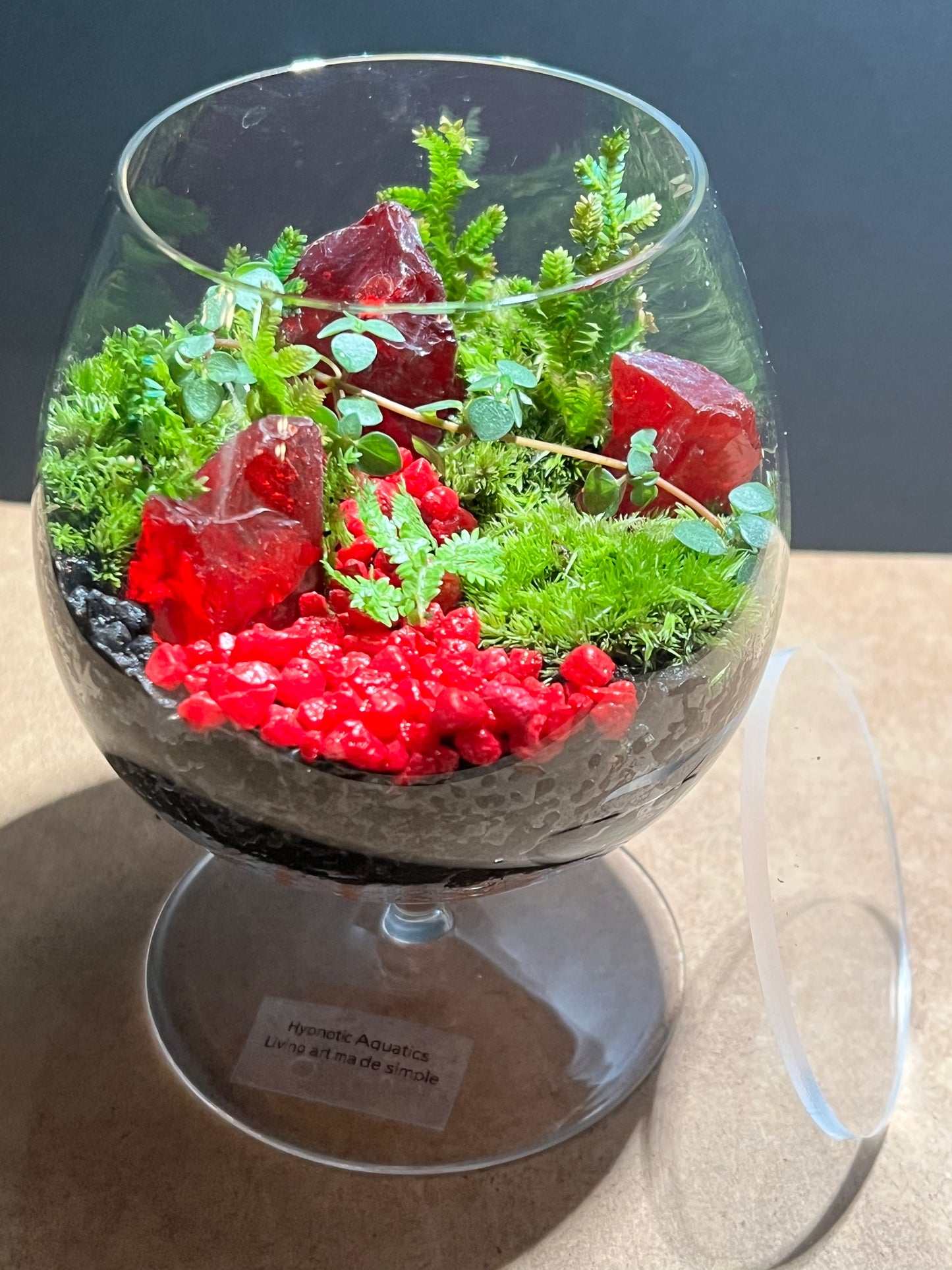 Terrarium 641