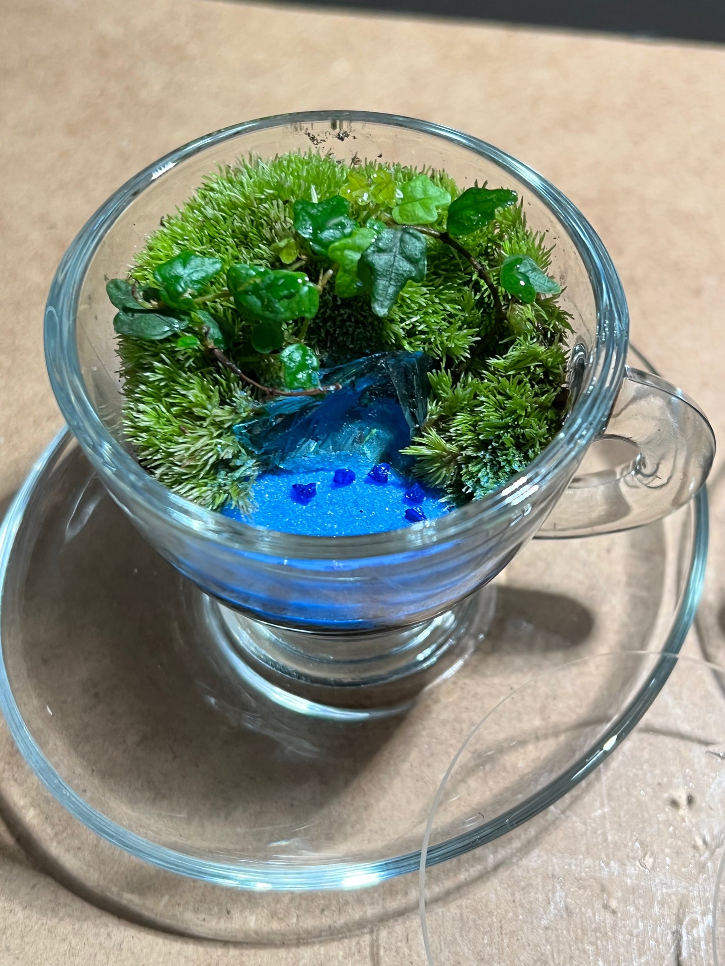 Terrarium 645 (seti)