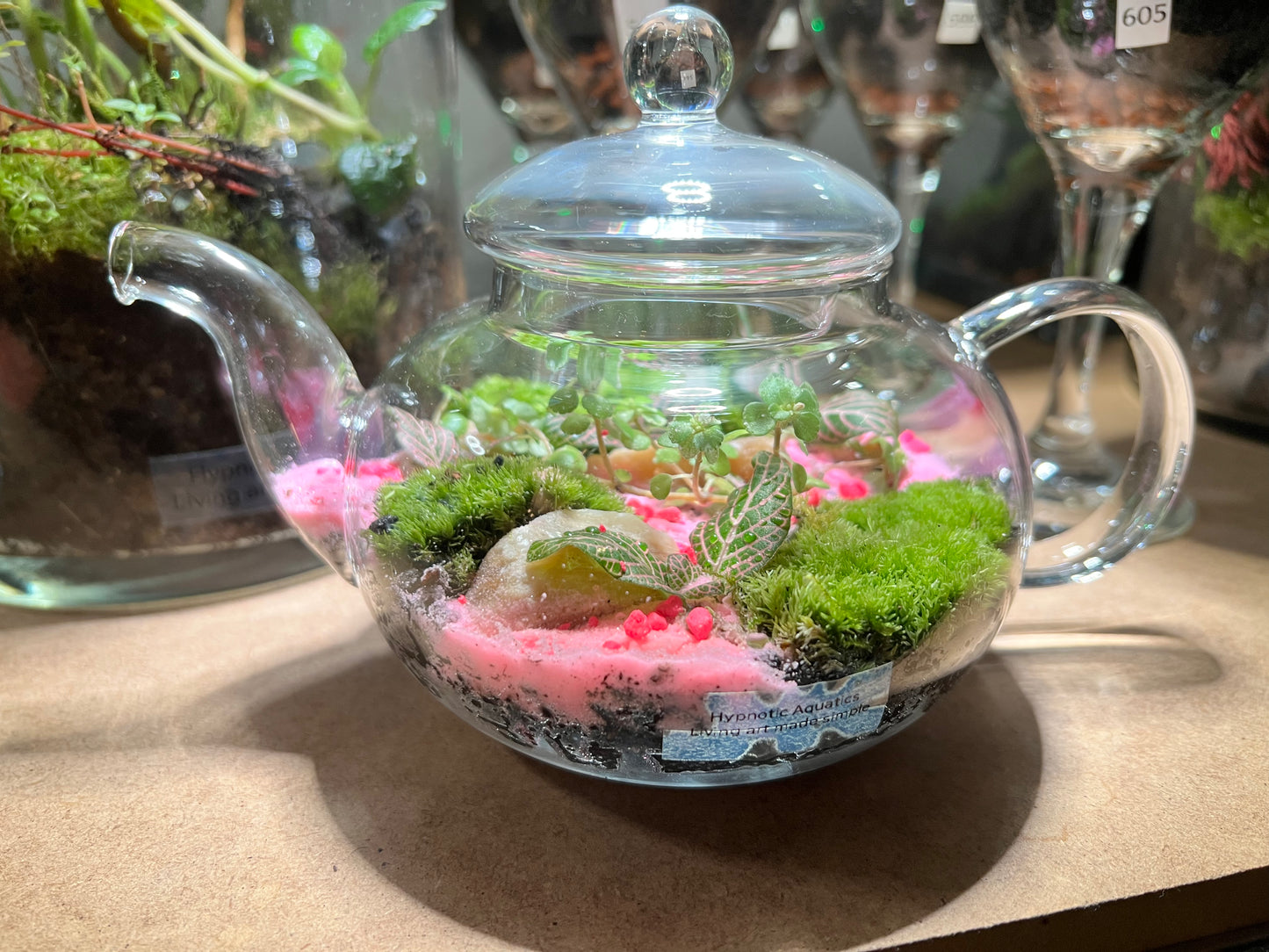 Terrarium 658