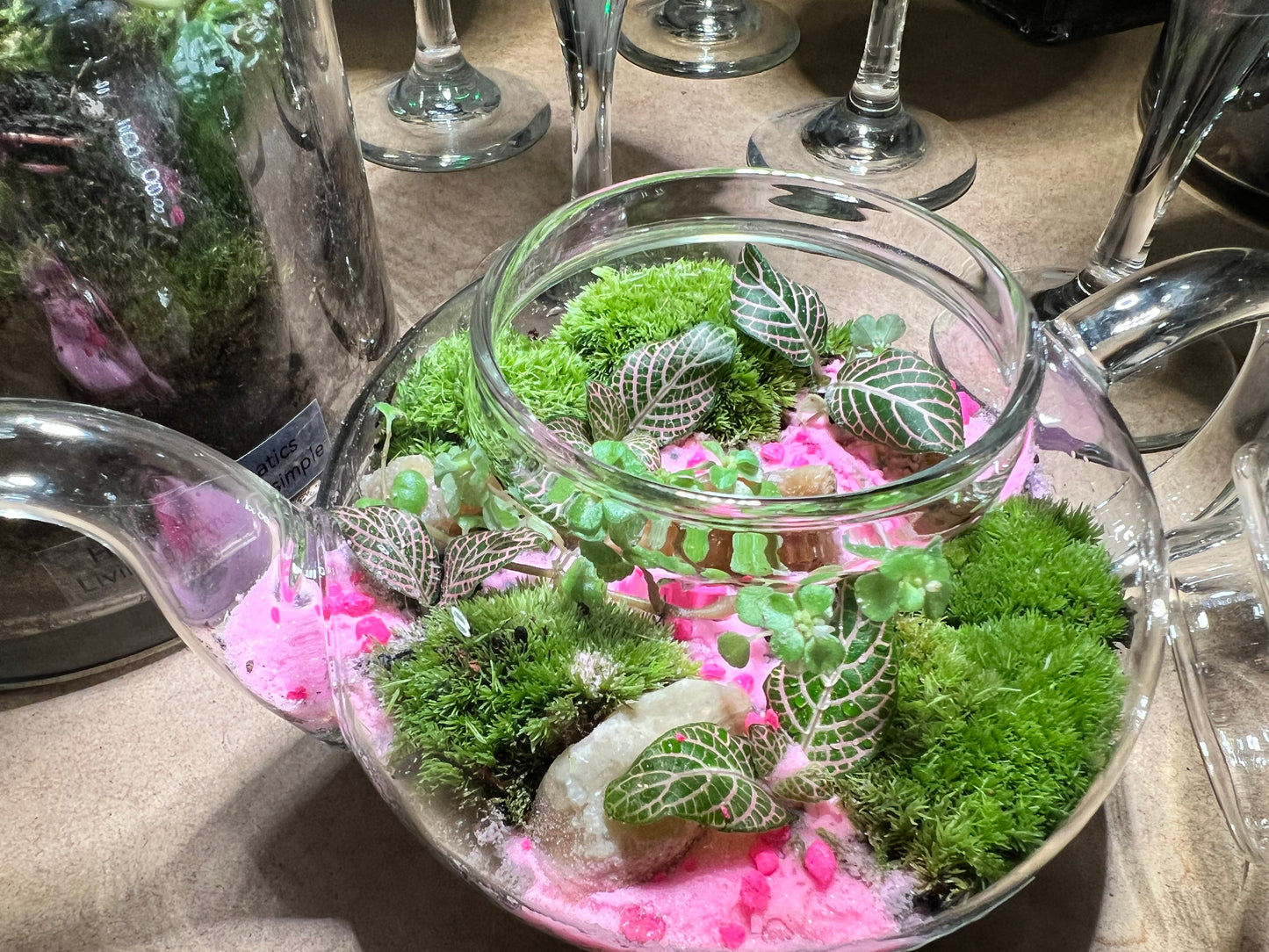 Terrarium 658