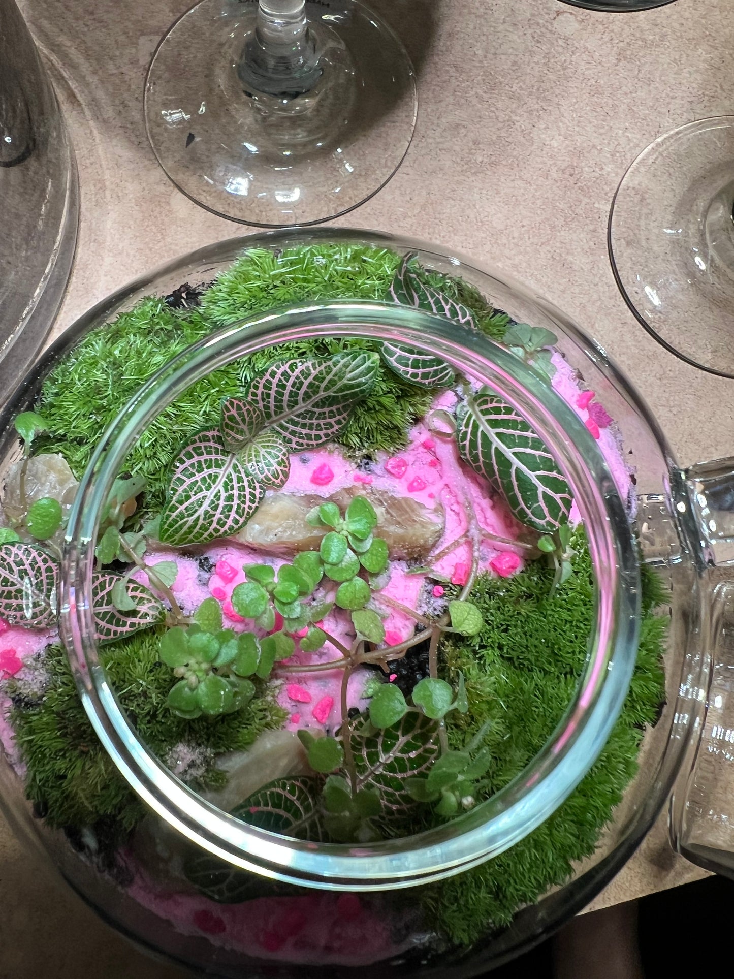 Terrarium 658