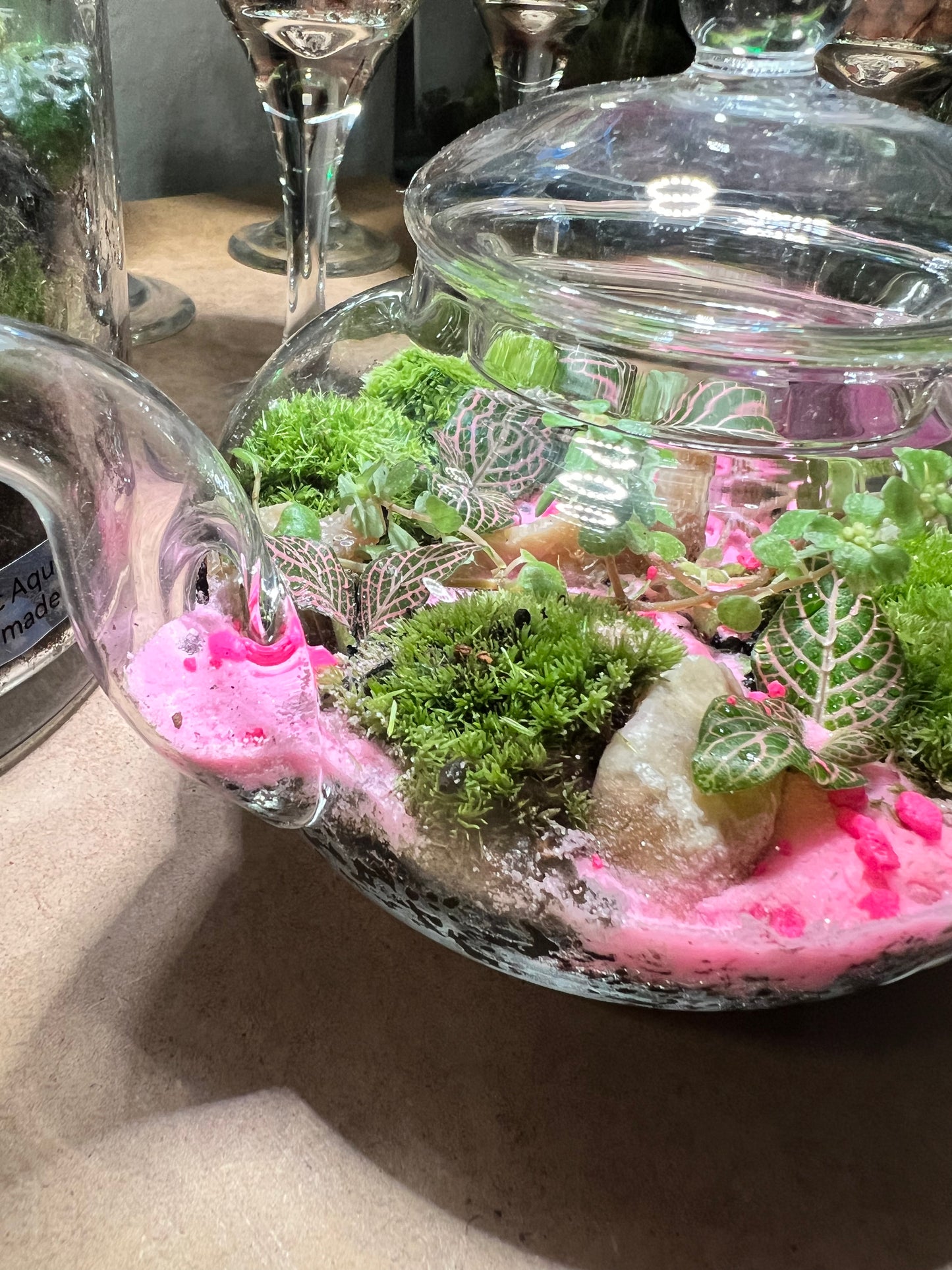 Terrarium 658