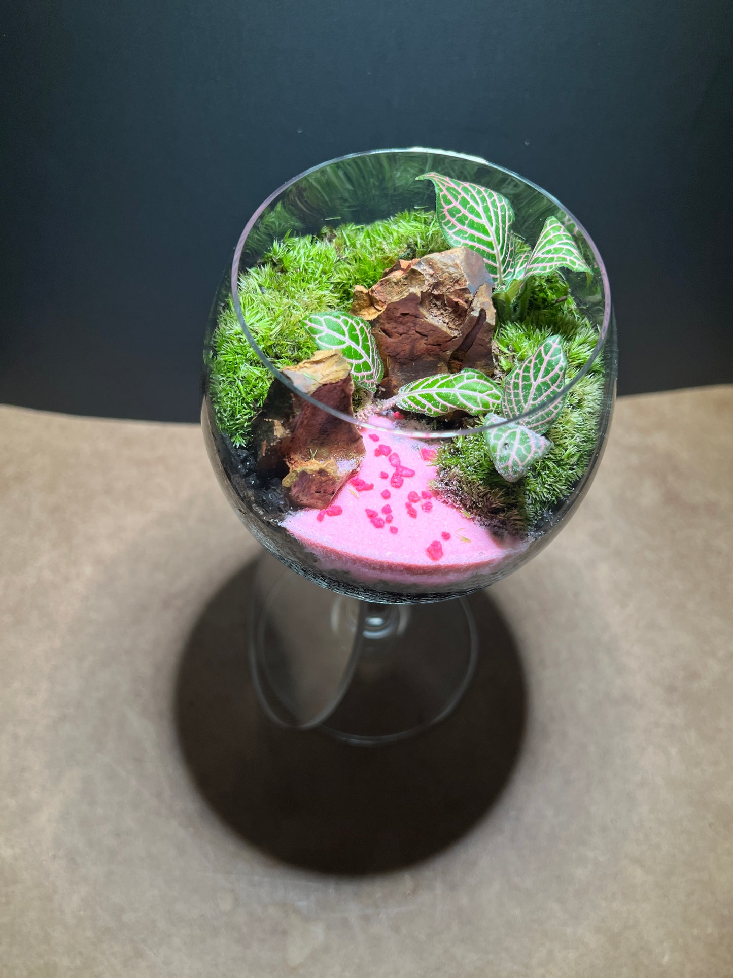 Terrarium 662