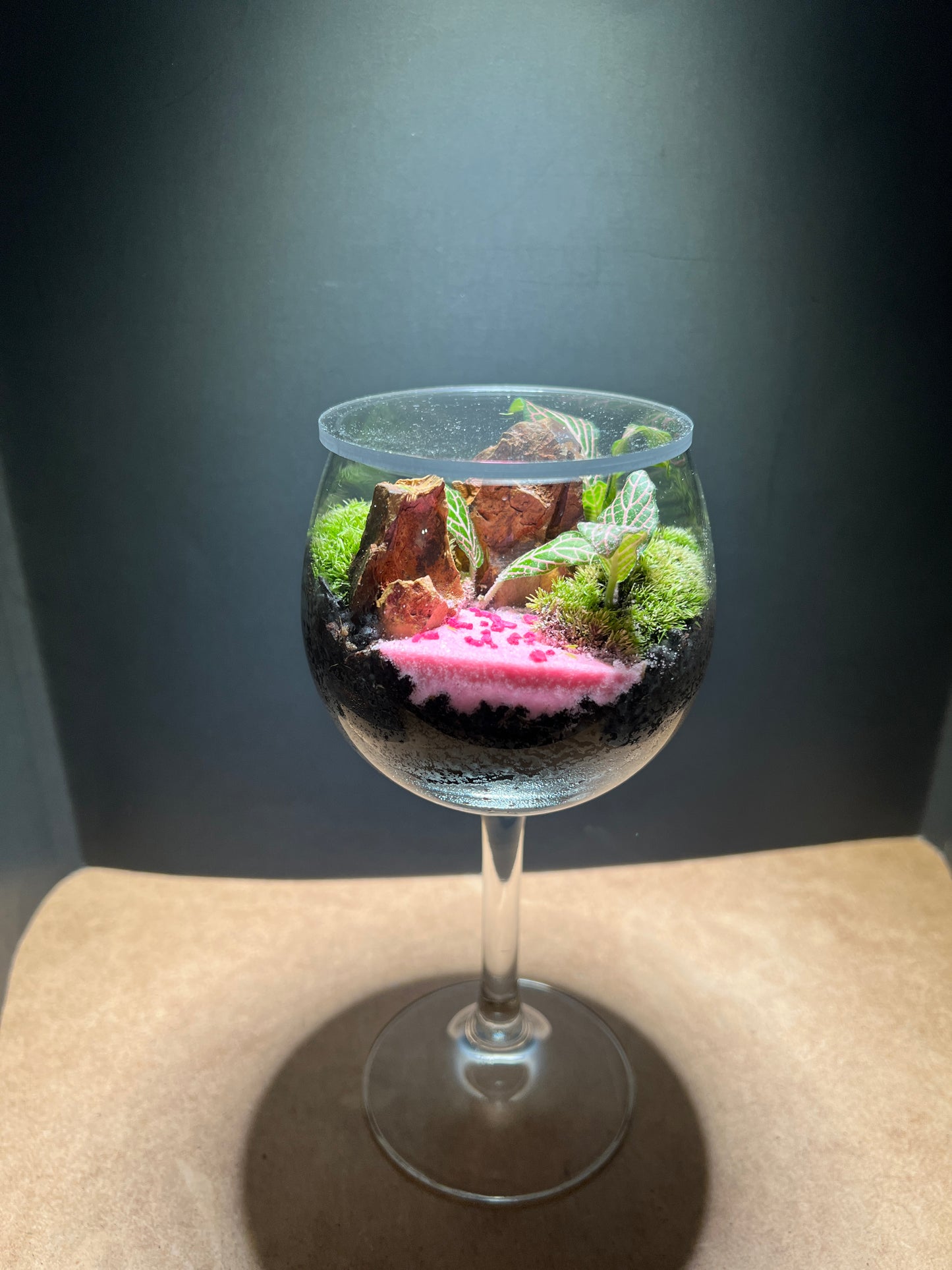 Terrarium 662