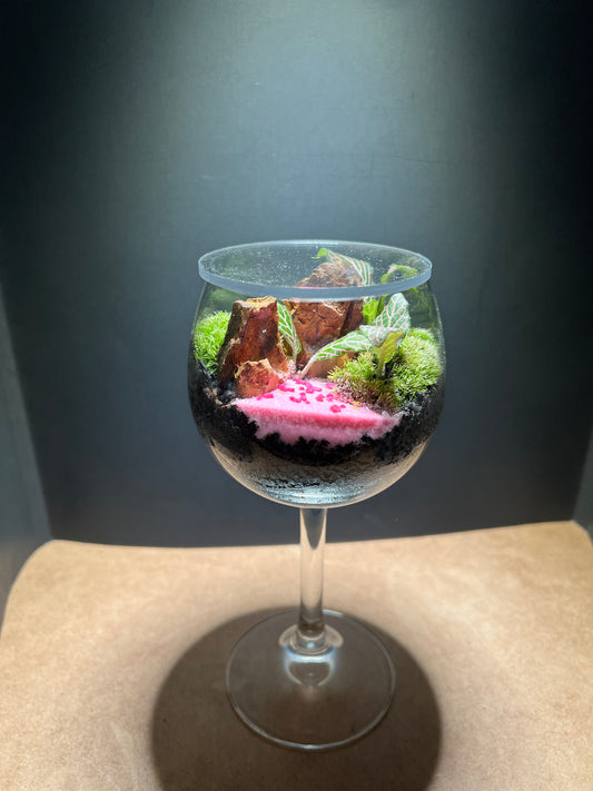 Terrarium 662